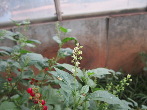  ( - PPRI-0123)  @11 [ ] No Rights Reserved  Unspecified Unspecified