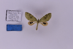  ( - HSS18382)  @11 [ ] Unspecified (default): All Rights Reserved  Unspecified Unspecified