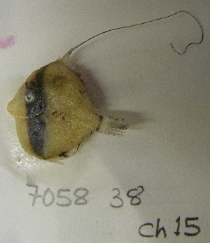  ( - GP8-656)  @11 [ ] Unspecified (default): All Rights Reserved  Unspecified Unspecified