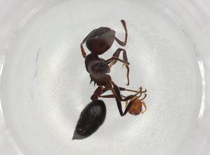  ( - BIOUG87209-B05)  @11 [ ] CreativeCommons - Attribution (2022) Centre for Biodiversity Genomics Centre for Biodiversity Genomics