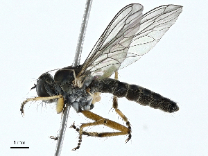  ( - BIOUG99479-C10)  @11 [ ] CreativeCommons - Attribution (2023) CBG Photography Group Centre for Biodiversity Genomics