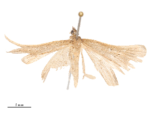  ( - CBG-B00187-D03)  @11 [ ] CreativeCommons - Attribution Share - Alike (2025) CBG Photography Group Centre for Biodiversity Genomics