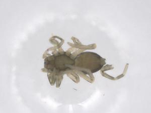  ( - CBG-B01969-B06)  @11 [ ] CreativeCommons - Attribution Share - Alike (2025) Centre for Biodiversity Genomics Centre for Biodiversity Genomics