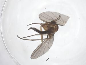  ( - CBG-B23731-H08)  @11 [ ] CreativeCommons - Attribution Share - Alike (2025) Centre for Biodiversity Genomics Centre for Biodiversity Genomics