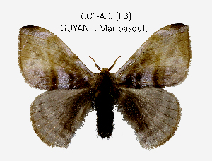  ( - CO1-AJ3)  @11 [ ] By-SA Creative Common (2020) Frederic Beneluz Research collection of Frederic Beneluz