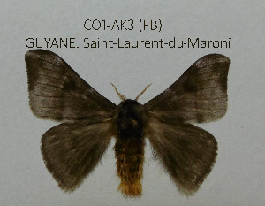  ( - CO1-AK3)  @11 [ ] By-SA Creative Common (2020) Frederic Beneluz Research collection of Frederic Beneluz