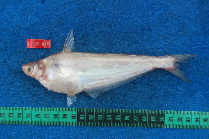  ( - NHPC-21256)  @11 [ ] Unspecified (default): All Rights Reserved  Unspecified Unspecified