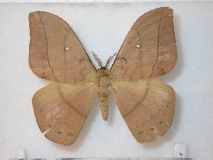  ( - BC-Basq0783)  @13 [ ] Copyright (2010) Patrick Basquin Research Collection of Patrick Basquin
