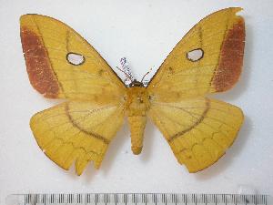  ( - BC-Basq0784)  @13 [ ] Copyright (2010) Patrick Basquin Research Collection of Patrick Basquin