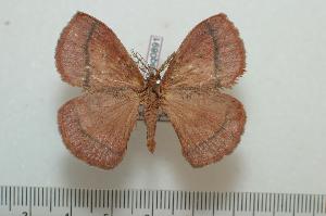  ( - BC-Basq0891)  @13 [ ] Copyright (2010) Patrick Basquin Research Collection of Patrick Basquin