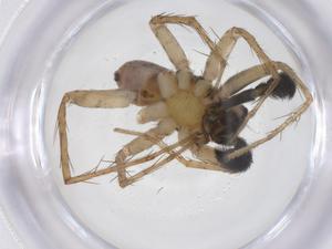  ( - CBG-A63743-F07)  @11 [ ] CreativeCommons - Attribution Share - Alike (2025) Centre for Biodiversity Genomics Centre for Biodiversity Genomics