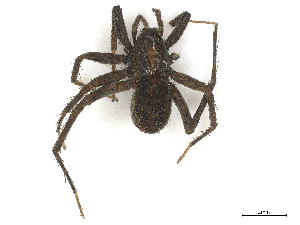  ( - CBG-A67022-C04)  @11 [ ] CreativeCommons - Attribution Share - Alike (2025) CBG Photography Group Centre for Biodiversity Genomics