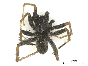  ( - CBG-A67022-E03)  @11 [ ] CreativeCommons - Attribution Share - Alike (2025) CBG Photography Group Centre for Biodiversity Genomics