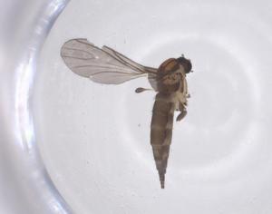  ( - CBG-B13674-E09)  @11 [ ] CreativeCommons - Attribution Share - Alike (2025) Centre for Biodiversity Genomics Centre for Biodiversity Genomics