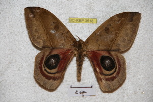  ( - BC-RBP 3518)  @11 [ ] Copyright (2010) Ron Brechlin Research Collection of Ron Brechlin