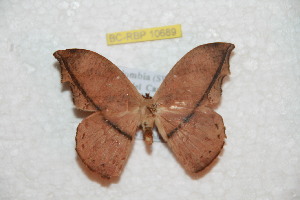  ( - BC-RBP 10689)  @11 [ ] Copyright (2017) Ron Brechlin Research Collection of Ron Brechlin
