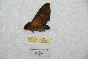  ( - BC-RBP 8641)  @12 [ ] Copyright (2014) Ron Brechlin Research Collection of Ron Brechlin