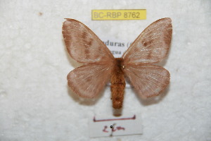  ( - BC-RBP 8762)  @13 [ ] Copyright (2014) Ron Brechlin Research Collection of Ron Brechlin