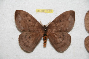  ( - BC-RBP 12552)  @11 [ ] copyright (2022) Ron Brechlin Research Collection of Ron Brechlin