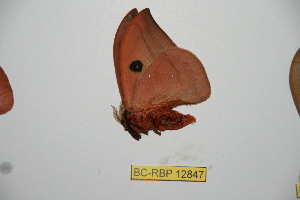  ( - BC-RBP12847)  @11 [ ] copyright (2024) Ron Brechlin Research Collection of Ron Brechlin