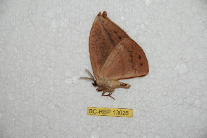  ( - BC-RBP-13026)  @11 [ ] copyright (2025) Ron Brechlin Research Collection of Ron Brechlin