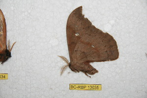  ( - BC-RBP-13035)  @11 [ ] copyright (2025) Ron Brechlin Research Collection of Ron Brechlin