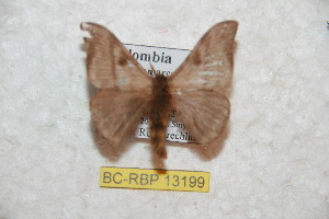  ( - BC-RBP-13199)  @11 [ ] copyright (2025) Ron Brechlin Research Collection of Ron Brechlin