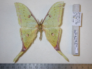  ( - barcode SNB 683)  @14 [ ] Copyright (2010) Stefan Naumann Research Collection of Stefan Naumann