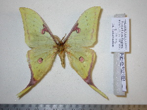  ( - barcode SNB 684)  @14 [ ] Copyright (2010) Stefan Naumann Research Collection of Stefan Naumann