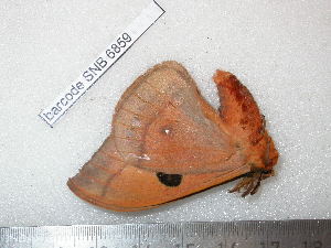  ( - barcode SNB 6859)  @11 [ ] copyright (2020) Stefan Naumann private