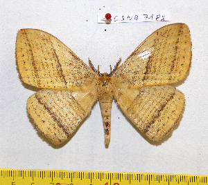  ( - barcode SNB 7188)  @11 [ ] copyright (2022) Stefan Naumann Research collection of Stefan Naumann