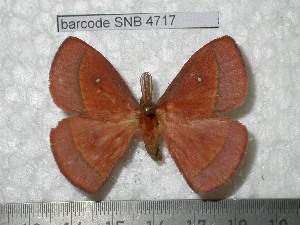  ( - barcode SNB 4717)  @14 [ ] Copyright (2012) Stefan Naumann Research Collection of Stefan Naumann