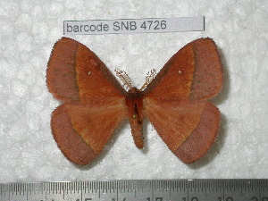  ( - barcode SNB 4726)  @14 [ ] Copyright (2012) Stefan Naumann Research Collection of Stefan Naumann