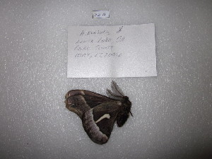  ( - ssmith2010-033A)  @12 [ ] Copyright (2010) Scott Smith The Research Collection of Scott Smith