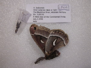  ( - ssmith2010-036A)  @12 [ ] Copyright (2010) Scott Smith The Research Collection of Scott Smith