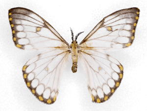  ( - BC-JJ2826-G10)  @14 [ ] Copyright (2010) Jo Joannou Research Collection of Jo Joannou
