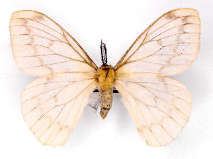  ( - BC-JJ2827-E06)  @11 [ ] Copyright (2010) Jo Joannou Research Collection of Jo Joannou