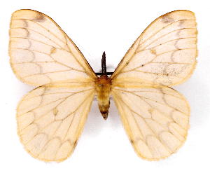  ( - BC-JJ2827-E07)  @11 [ ] Copyright (2010) Jo Joannou Research Collection of Jo Joannou
