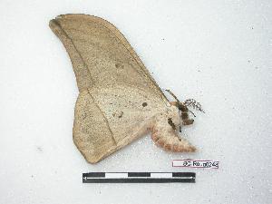  ( - BC-Roug0248)  @13 [ ] Copyright (2010) Rodolphe Rougerie Research Collection of Rodolphe Rougerie