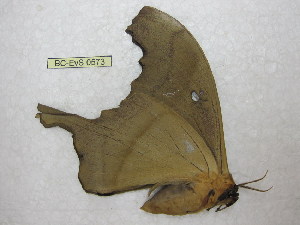  ( - BC-EvS 0573)  @12 [ ] Copyright (2010) Eric Van Schayck Unspecified