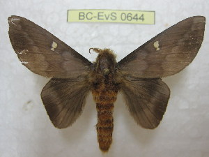  ( - BC-EvS 0644)  @13 [ ] Copyright (2010) Eric Van Schayck Unspecified