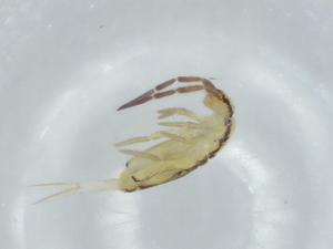  ( - BIOUG74627-B06)  @11 [ ] CreativeCommons - Attribution (2021) Centre for Biodiversity Genomics Centre for Biodiversity Genomics