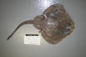  ( - 07-070)  @12 [ ] Unspecified (default): All Rights Reserved  Unspecified Unspecified