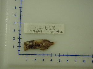  ( - 07-663)  @12 [ ] Unspecified (default): All Rights Reserved  Unspecified Unspecified