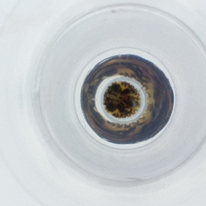  ( - CAMP_070_C5)  @11 [ ] by  Genome Research Ltd as Wellcome Sanger Institute Genome Research Limited operating as Wellcome Sanger Institute