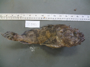  ( - 09-337)  @12 [ ] Unspecified (default): All Rights Reserved  Unspecified Unspecified