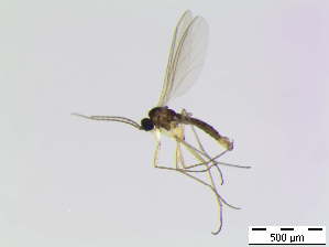  ( - bf-sci-00781)  @12 [ ] CreativeCommons - Attribution Non-Commercial Share-Alike (2016) Oivind Gammelmo BioFokus