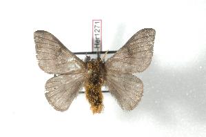  ( - BC-Her1271)  @13 [ ] Copyright (2010) Daniel Herbin Research Collection of Daniel Herbin