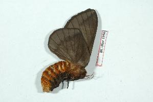  ( - BC-Her1956)  @12 [ ] Copyright (2010) Daniel Herbin Research Collection of Daniel Herbin