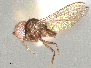  ( - BIOUG25954-F06)  @11 [ ] CreativeCommons - Attribution Share - Alike (2025) CBG Photography Group Centre for Biodiversity Genomics